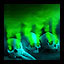 Plague Sending