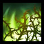 Brambles