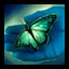 Release Enchantments