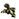 Image:smallscout.png