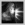 Wail of Doom (Factions)