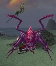 Plexus Shadowhook, a Dryder Mesmer boss with the "glow" aura