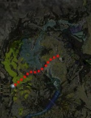 The route to the mushrooms