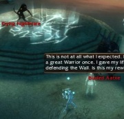 While behind the NPC the Aatxe cannot hit you, giving you time to deal with the Nighmare.