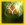 Archer's Signet
