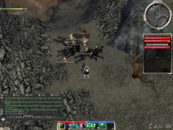 55/SS team in action in the Fissure of Woe