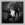 Shadow Meld (Nightfall)